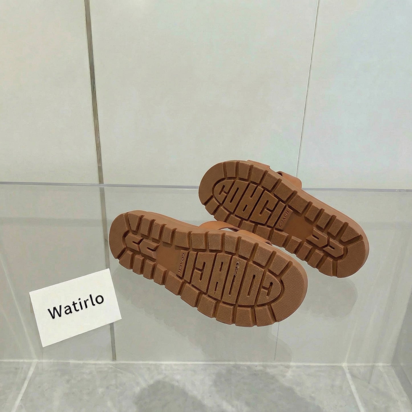 CH Brynn Crystal Viral Slides