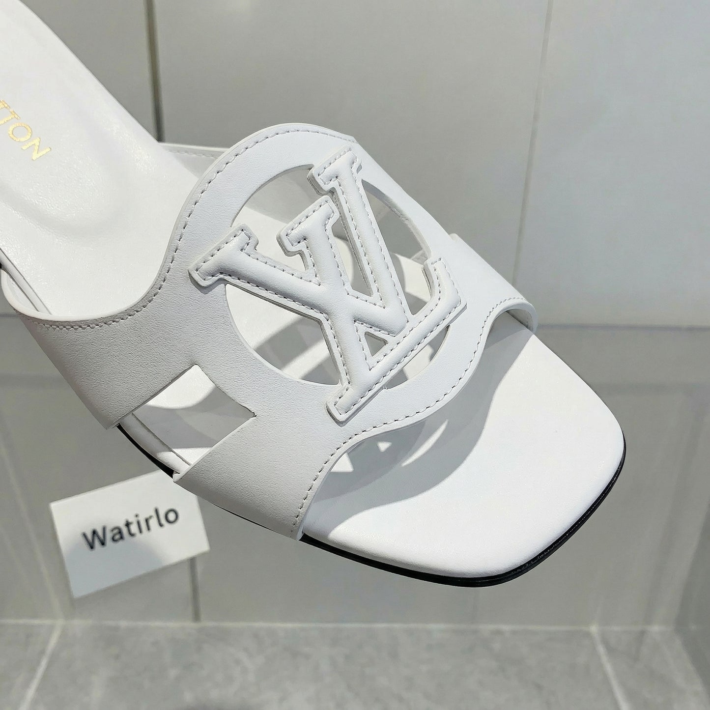 LV Isola Viral Slides