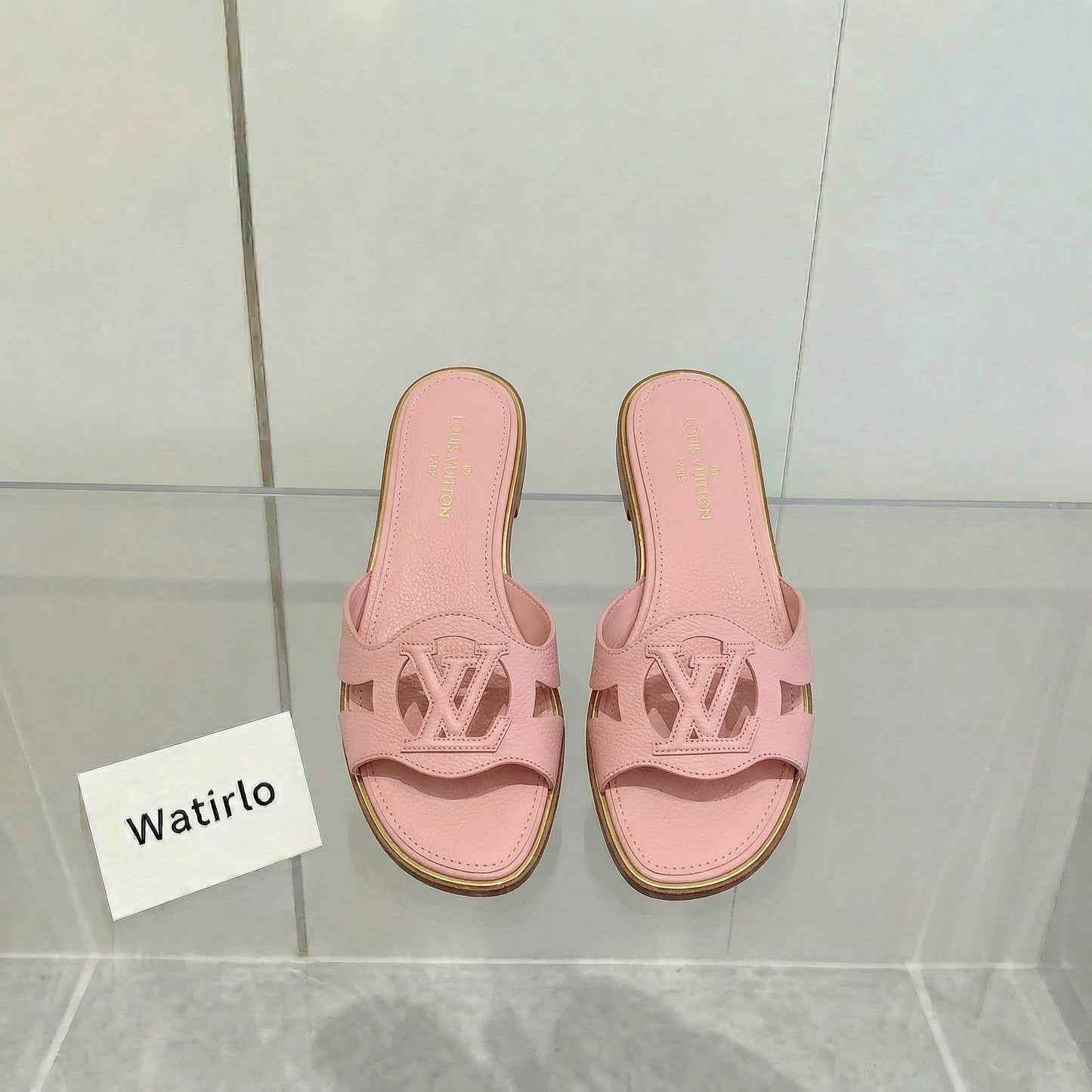 LV Isola Viral Slides