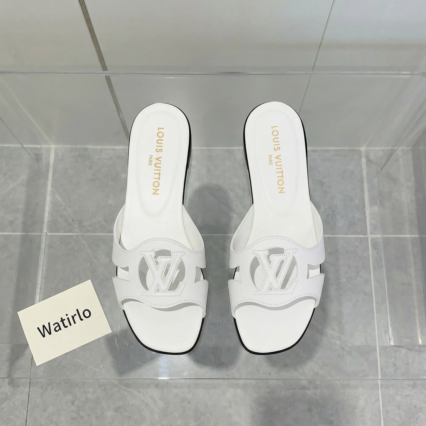 LV Isola Viral Slides