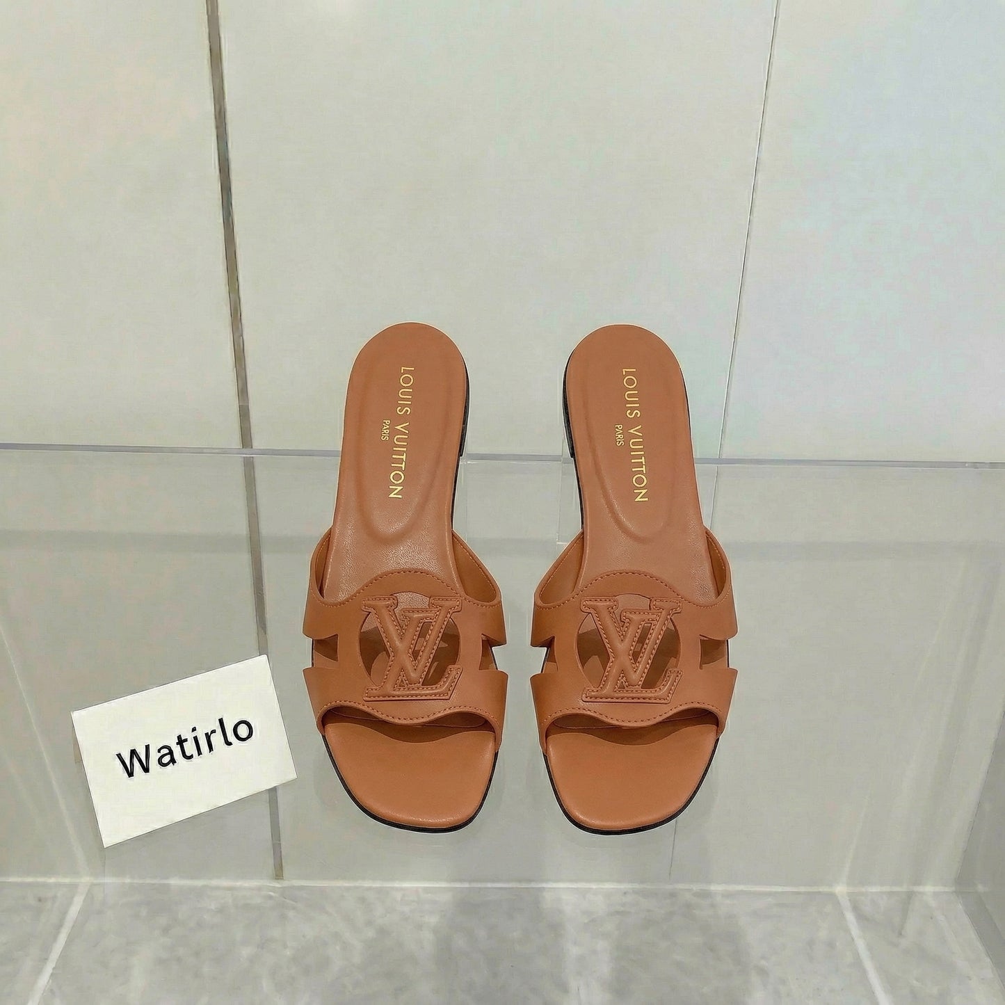 LV Isola Viral Slides