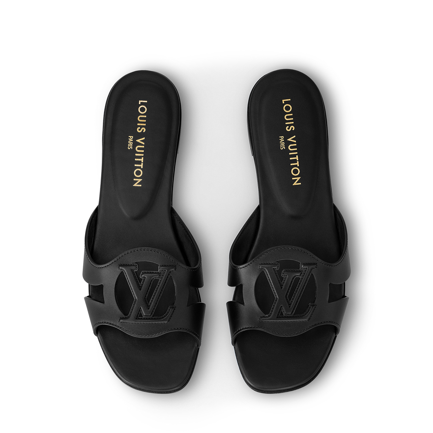 LV Isola Viral Slides