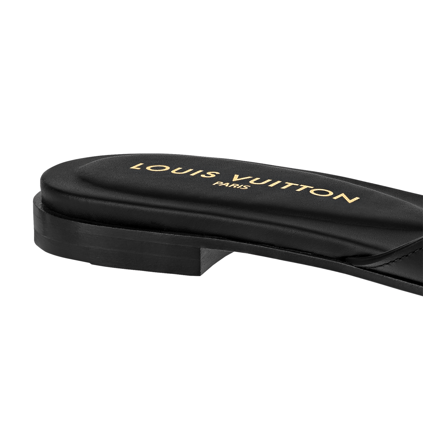 LV Isola Viral Slides