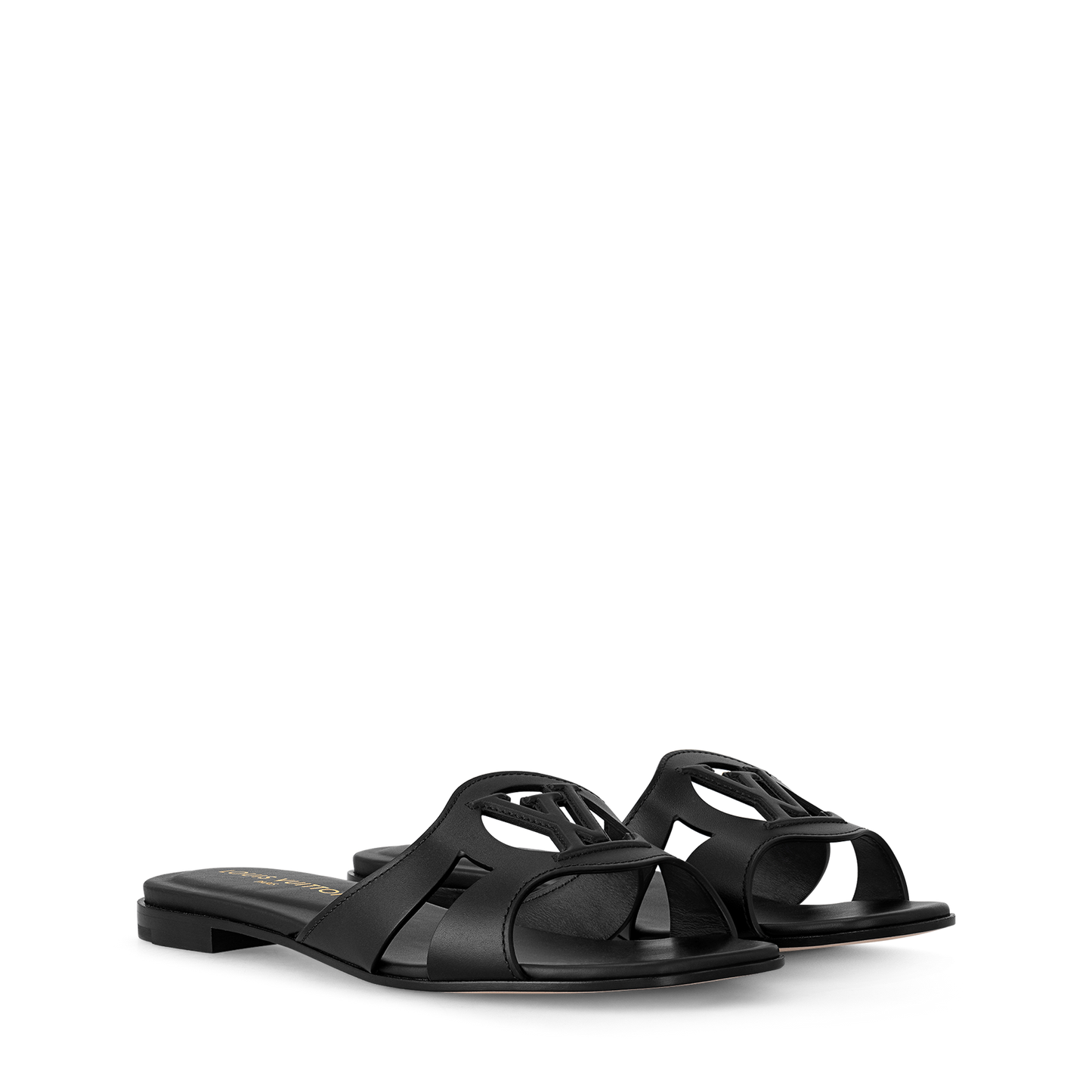 LV Isola Viral Slides