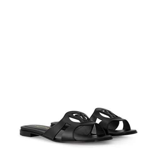 LV Isola Viral Slides