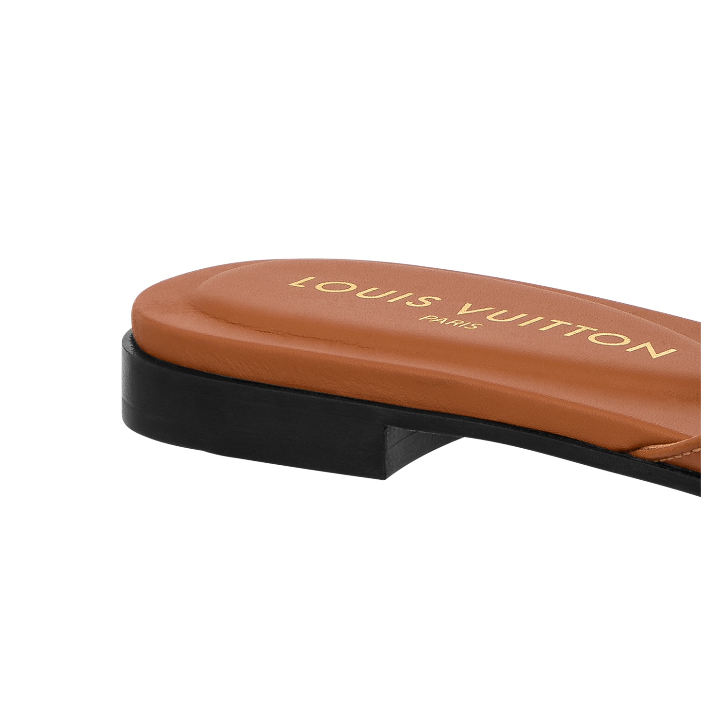 LV Isola Viral Slides