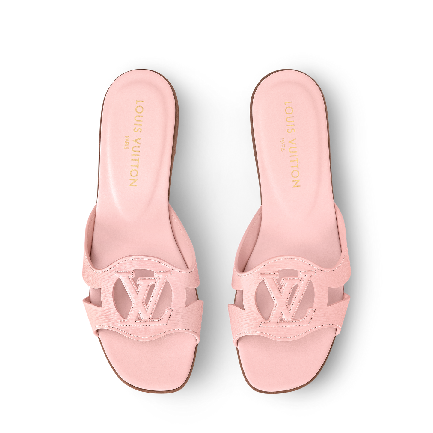 LV Isola Viral Slides