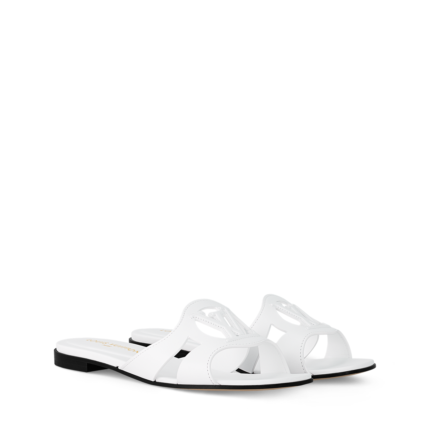 LV Isola Viral Slides