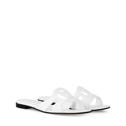 LV Isola Viral Slides