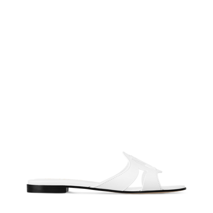 LV Isola Viral Slides