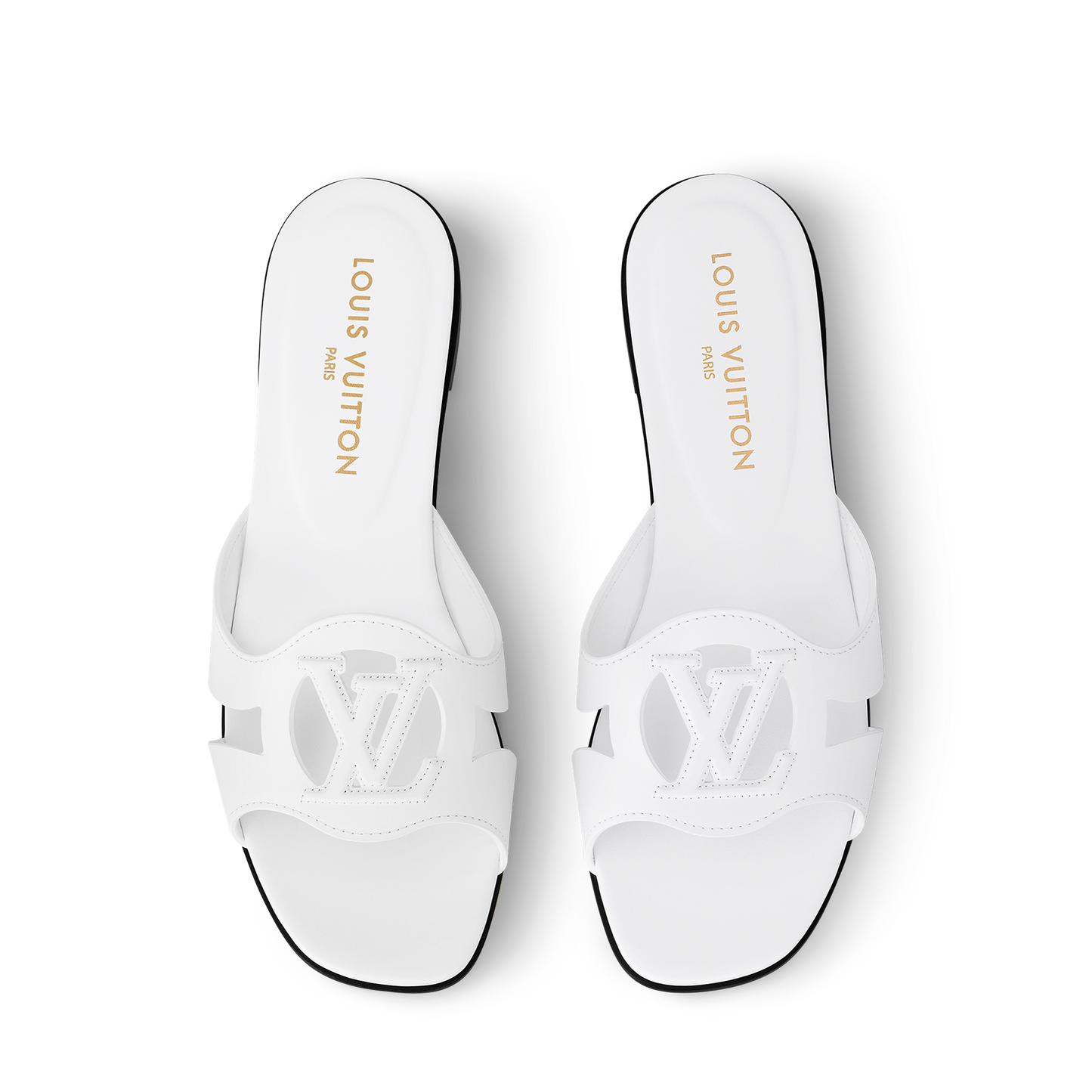 LV Isola Viral Slides